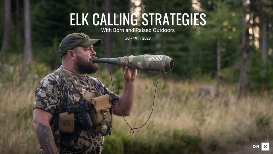 Elk Calling Strategies