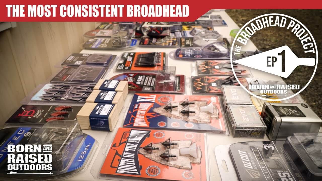 The Broadhead Project