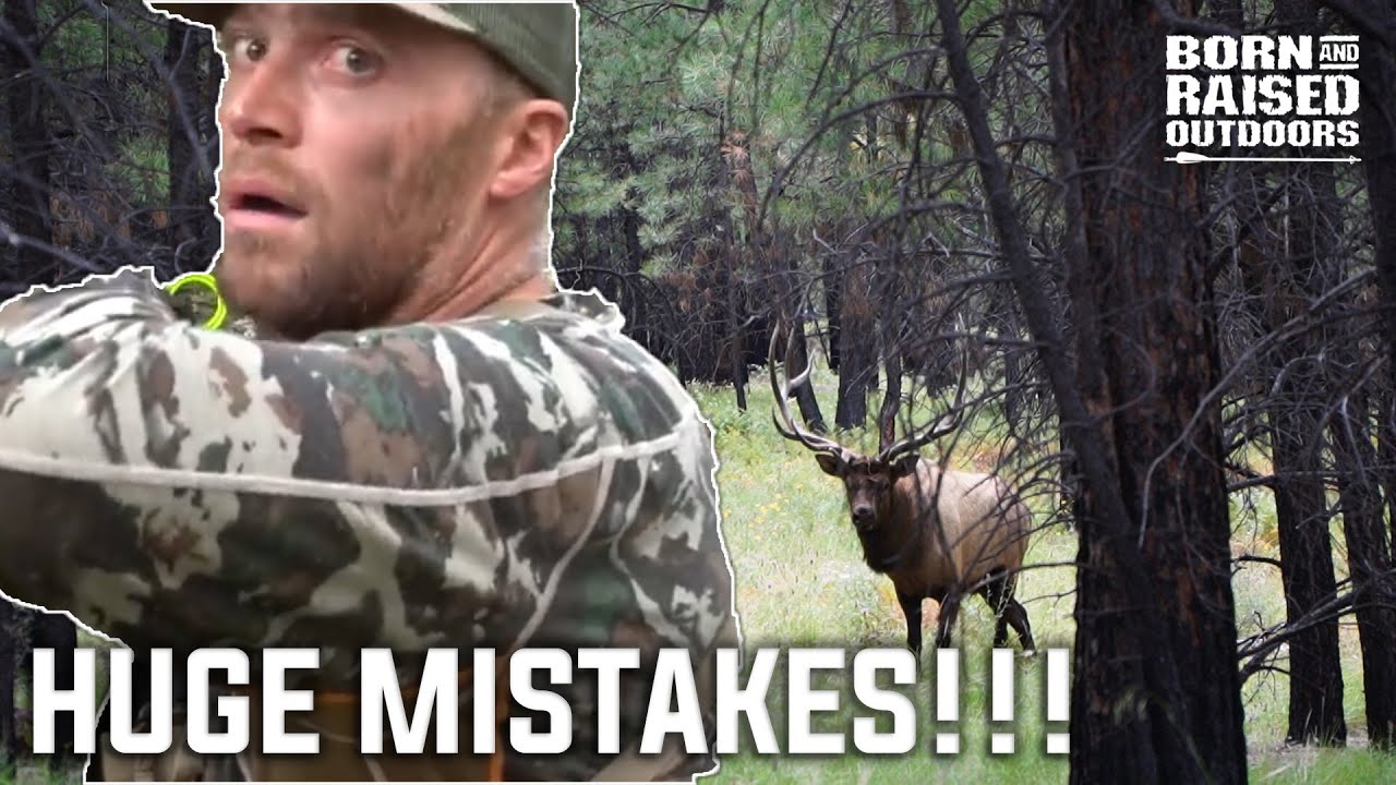 Top 10 Most Common Mistakes made while Elk Hunting