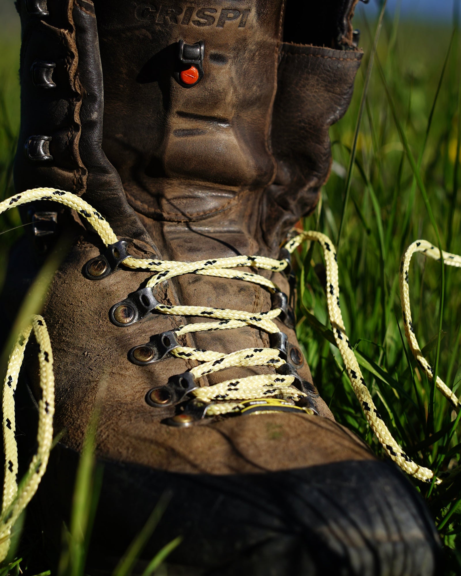 SheepFeet | Rugged Laces