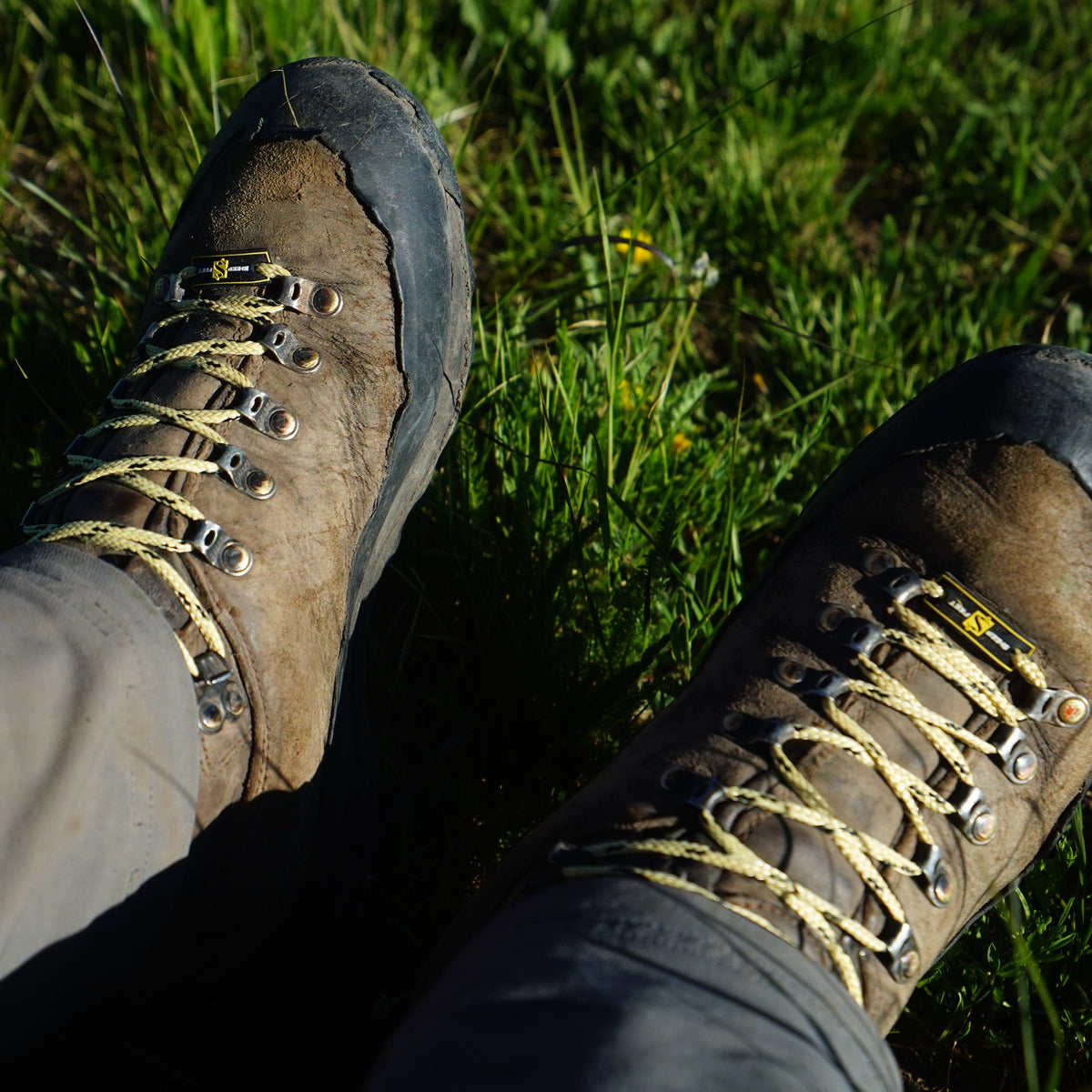 SheepFeet | Rugged Laces