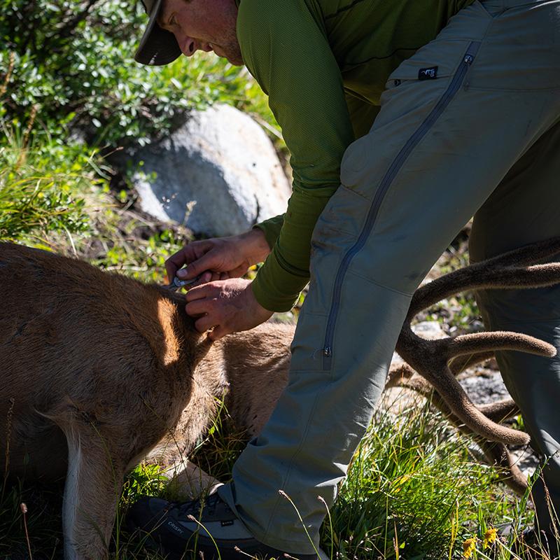 Stone Glacier | De Havilland LITE Pant